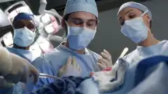 Анатомия страсти 21 сезон 7 серия