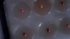 Анатомия страсти 8 сезон 18 серия