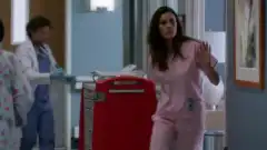 Анатомия страсти 14 сезон 19 серия