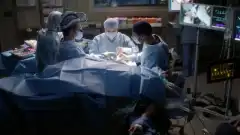 Анатомия страсти 17 сезон 3 серия