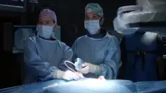 Анатомия страсти 18 сезон 16 серия