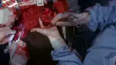 Анатомия страсти 19 сезон 12 серия