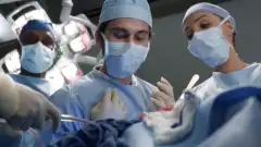 Анатомия страсти 21 сезон 7 серия